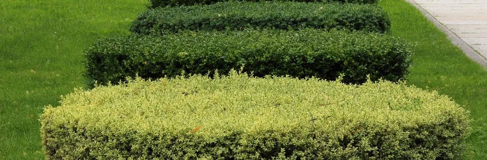 Reliable residential landscaping in Manhattan, KS - Mertz Family Lawn Care