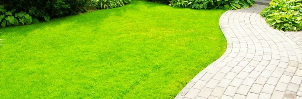 Professional yard cleanup service experts serving Manhattan, KS - Mertz Family Lawn Care