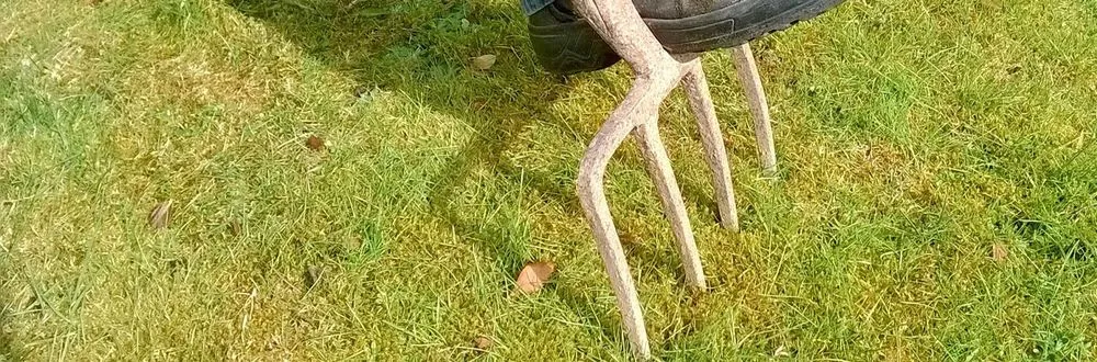 Custom lawn care service in Manhattan, KS by Mertz Family Lawn Care