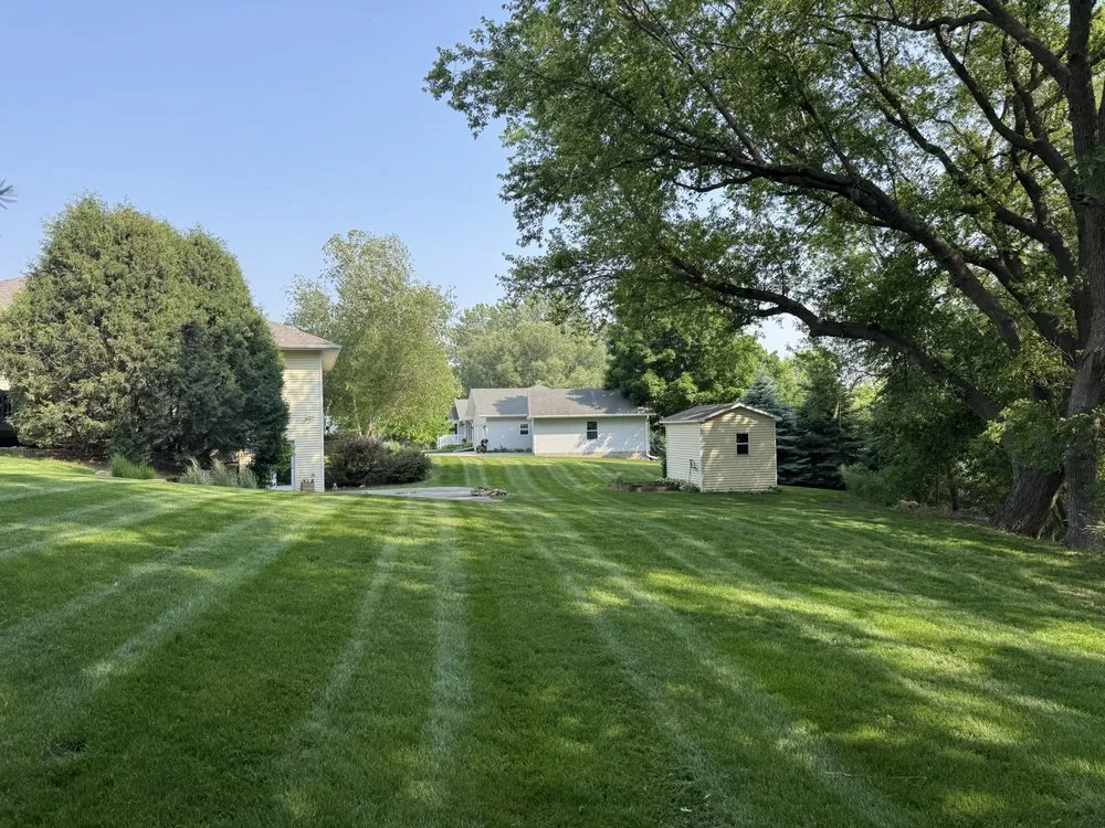 Custom yard cleanup service experts serving Woodbine, IA - Mes Lawns