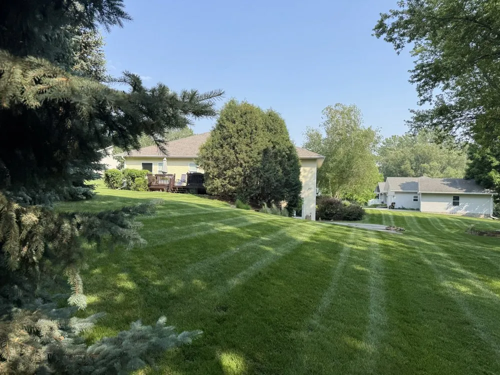 Trusted yard cleanup service in Woodbine, IA - Mes Lawns