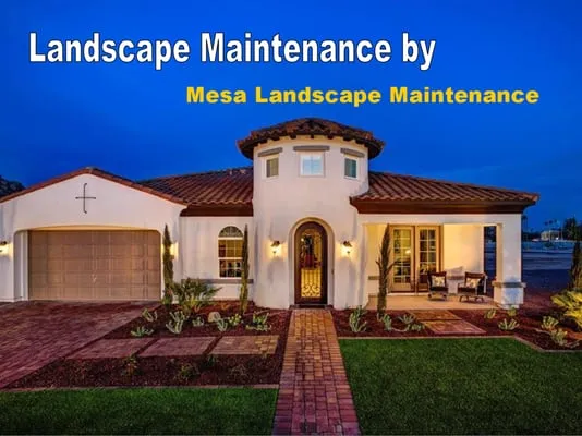 Mesa Landscape Maintenance Logo
