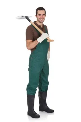 Mesa Landscape Services