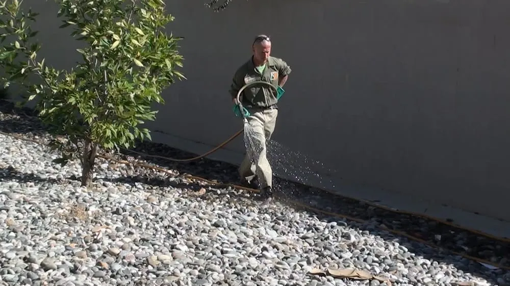 Trusted landscape installation for beautiful yards across Grand Junction, CO - Mesa Turf Masters