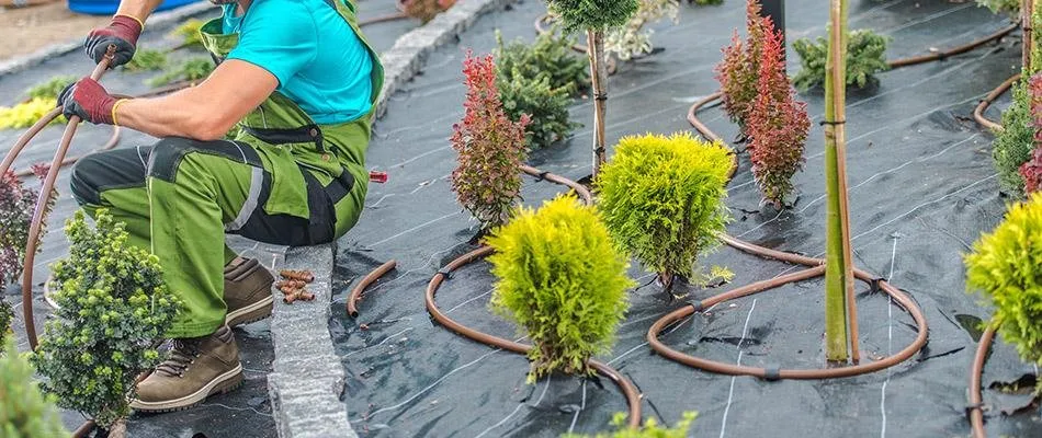 Reliable landscape installation in Grand Junction, CO by Mesa Turf Masters