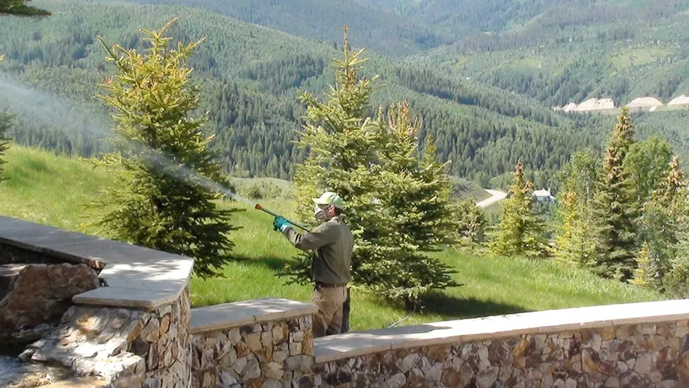 Custom yard cleanup service in Grand Junction, CO by Mesa Turf Masters