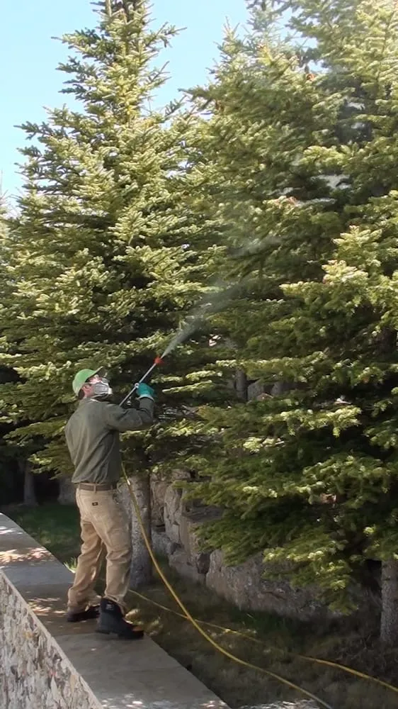 Professional landscaping services for homes across Grand Junction, CO - Mesa Turf Masters