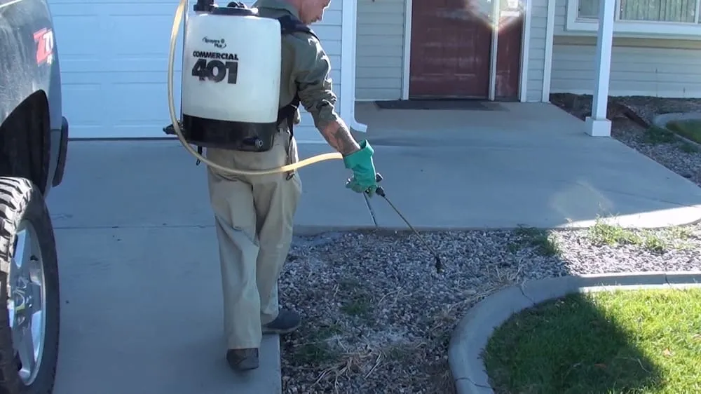 Custom lawn mowing service for outdoor upgrades in Grand Junction, CO by Mesa Turf Masters