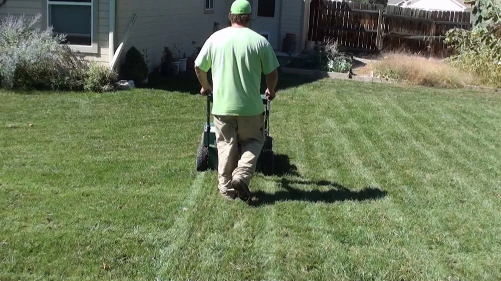 Trusted lawn mowing service in Grand Junction, CO - Mesa Turf Masters