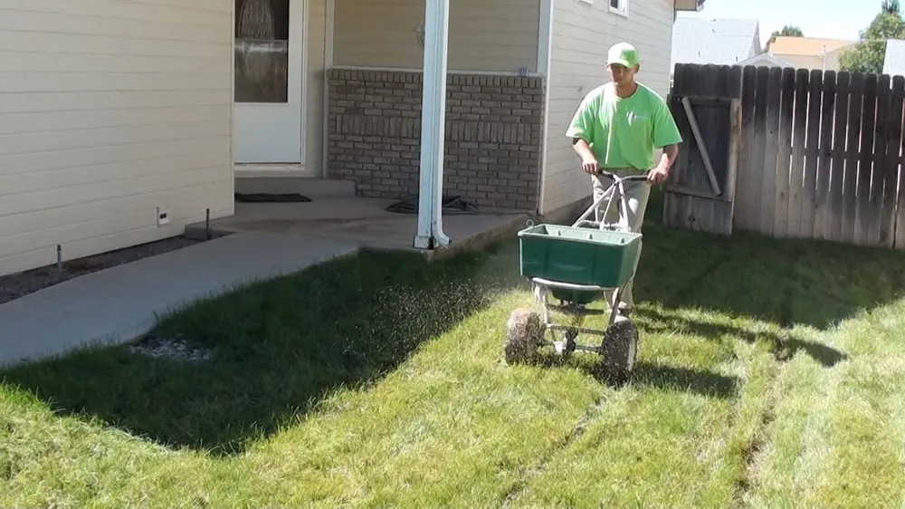 Professional yard maintenance in Grand Junction, CO by Mesa Turf Masters