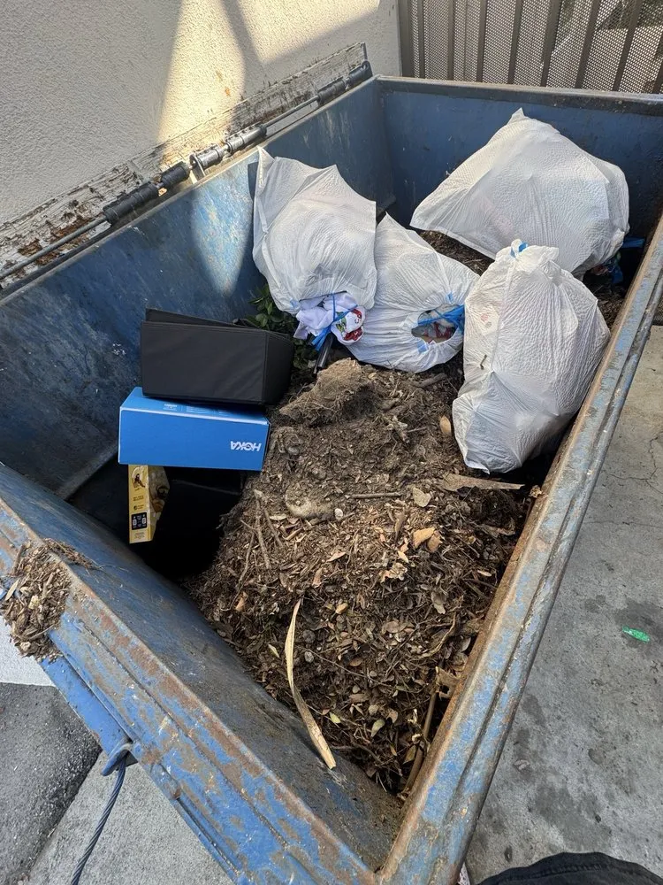 Top-rated landscaping services in Santa Ana, CA - Mesa Verde Landscapes Inc