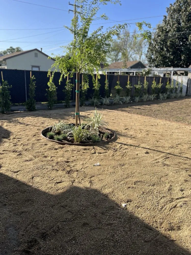 Expert landscaping services in Santa Ana, CA - Mesa Verde Landscapes Inc