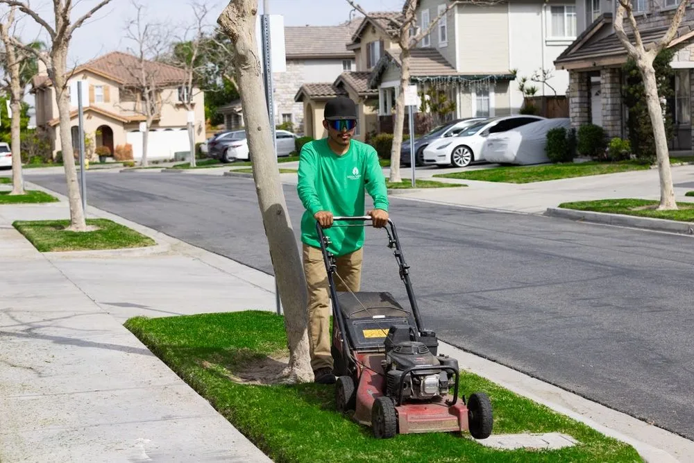 Affordable landscaping services for beautiful yards across Santa Ana, CA - Mesa Verde Landscapes Inc