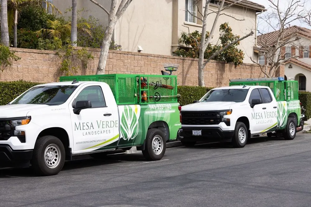 Reliable yard cleanup service in Santa Ana, CA - Mesa Verde Landscapes Inc