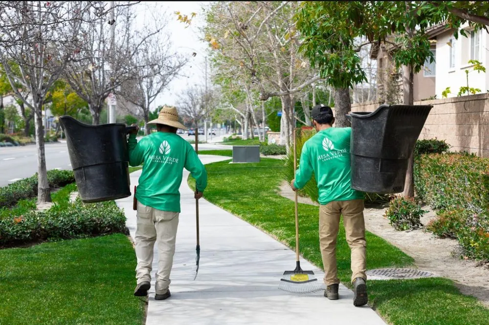 Expert lawn mowing service in Santa Ana, CA by Mesa Verde Landscapes Inc