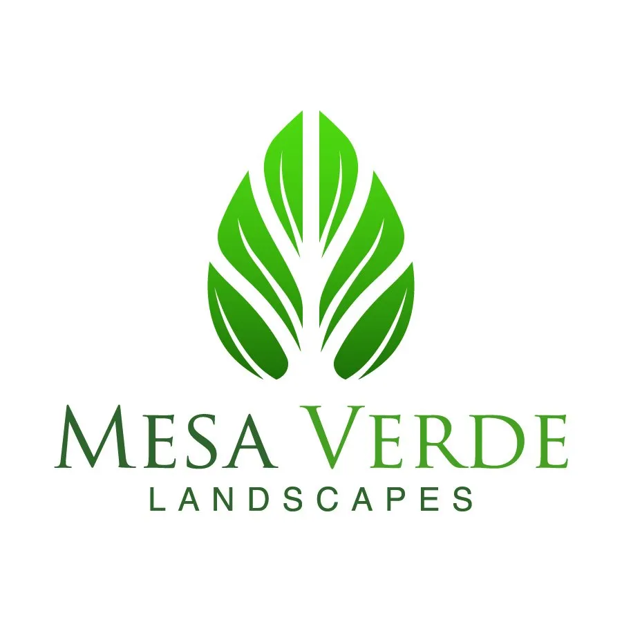 Expert yard maintenance for outdoor upgrades in Santa Ana, CA by Mesa Verde Landscapes Inc