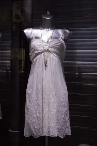 Professional yard maintenance for homes in Santa Ana, CA by Mesa Verde Landscapes Inc