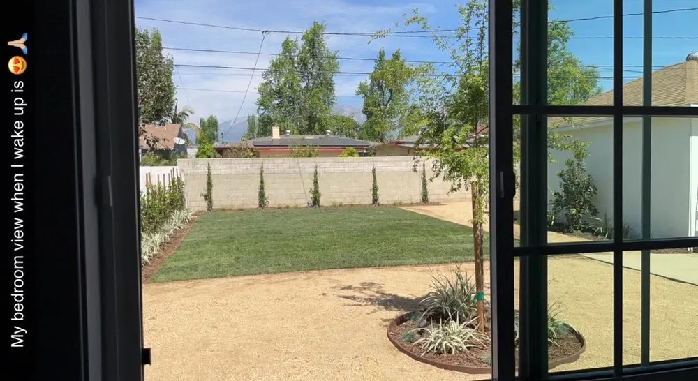 Professional yard cleanup service in Santa Ana, CA - Mesa Verde Landscapes Inc