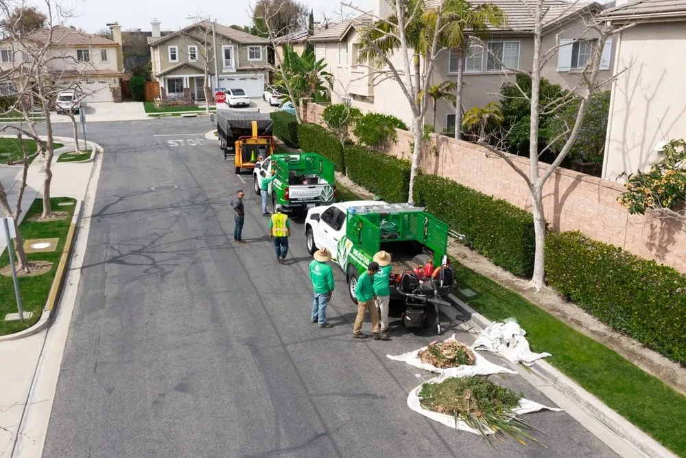 Professional landscape design for residential properties across Santa Ana, CA - Mesa Verde Landscapes Inc