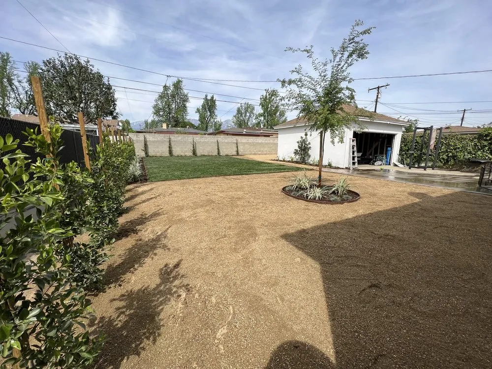 Professional yard maintenance in Santa Ana, CA by Mesa Verde Landscapes Inc