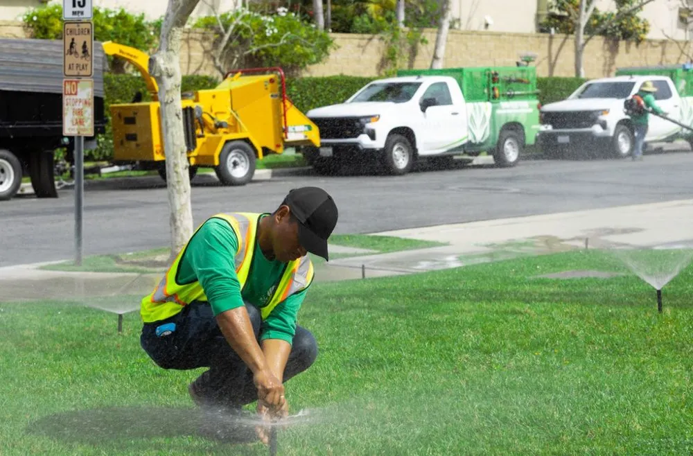 Expert garden landscaping near you across Santa Ana, CA - Mesa Verde Landscapes Inc