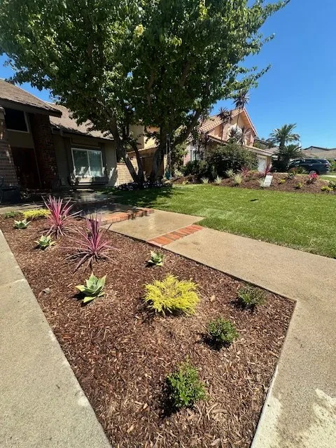 Affordable yard maintenance for outdoor upgrades in Santa Ana, CA by Mesa Verde Landscapes Inc