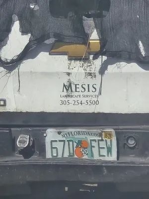 Mesis Landscape Services Logo