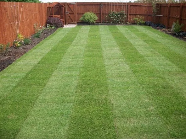 Reliable lawn care service in Lower Burrell, PA - MESLawncare