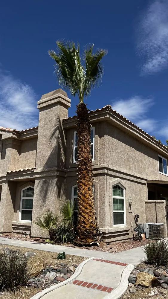 Expert garden landscaping for homes in Las Vegas, NV by Mesmerizing Garden Service