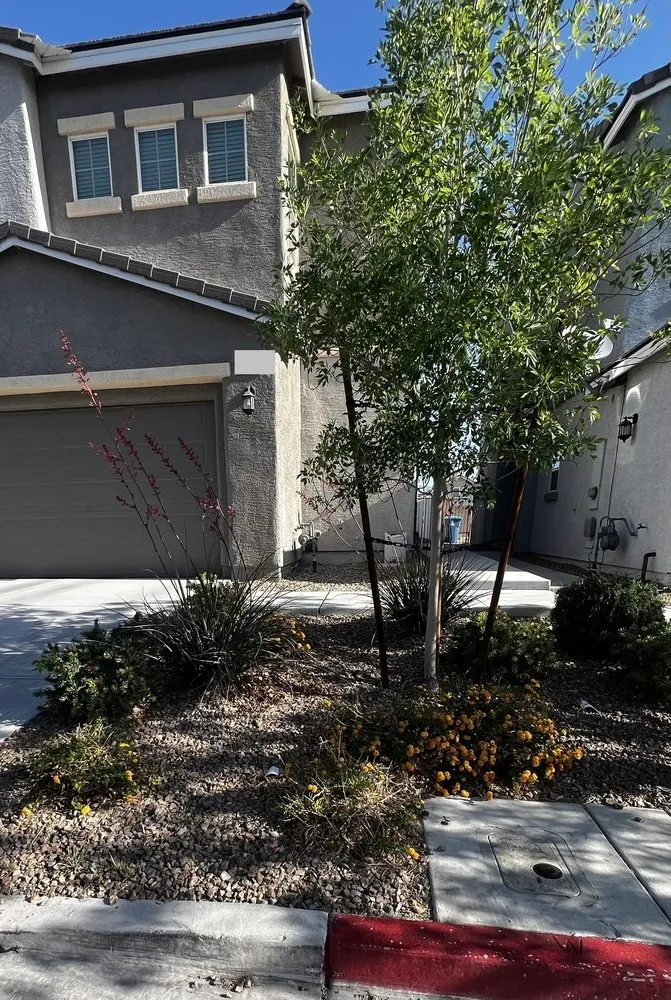 Expert landscaping services in Las Vegas, NV - Mesmerizing Garden Service