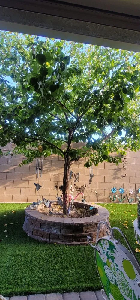 Expert outdoor landscaping in Las Vegas, NV - Mesmerizing Garden Service