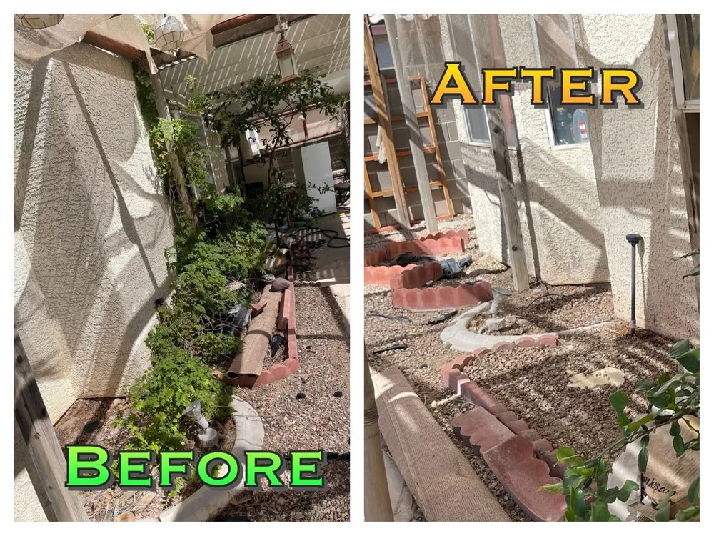 Reliable outdoor landscaping for year-round maintenance in Las Vegas, NV by Mesmerizing Garden Service