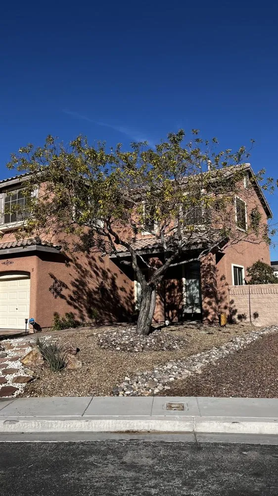 Top-rated yard cleanup service for residential properties across Las Vegas, NV - Mesmerizing Garden Service