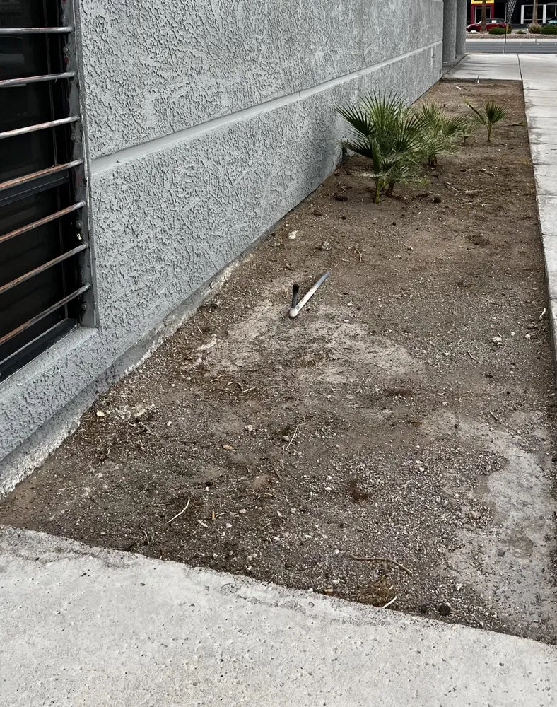 Top-rated landscape design for beautiful yards across Las Vegas, NV - Mesmerizing Garden Service