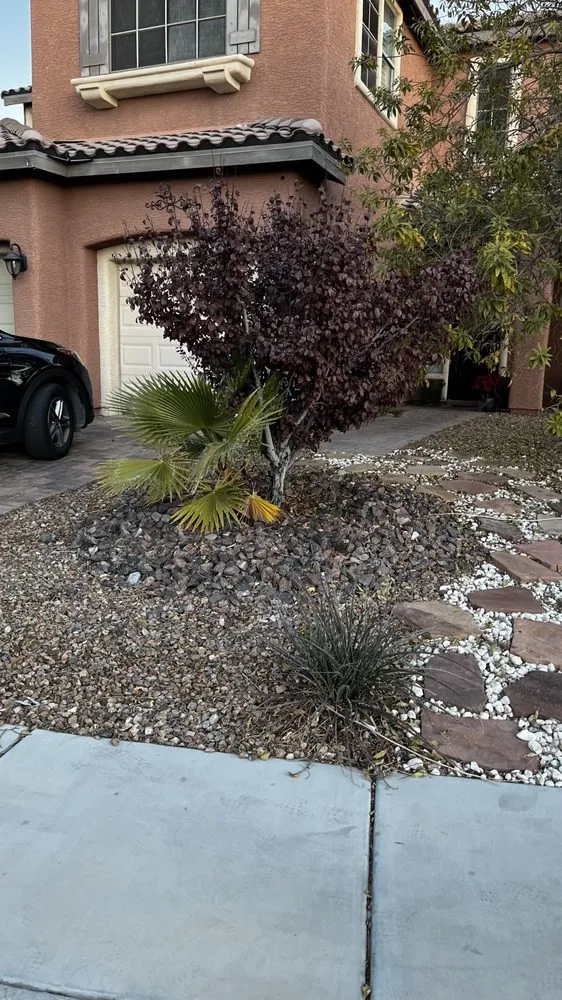 Professional yard maintenance experts serving Las Vegas, NV - Mesmerizing Garden Service