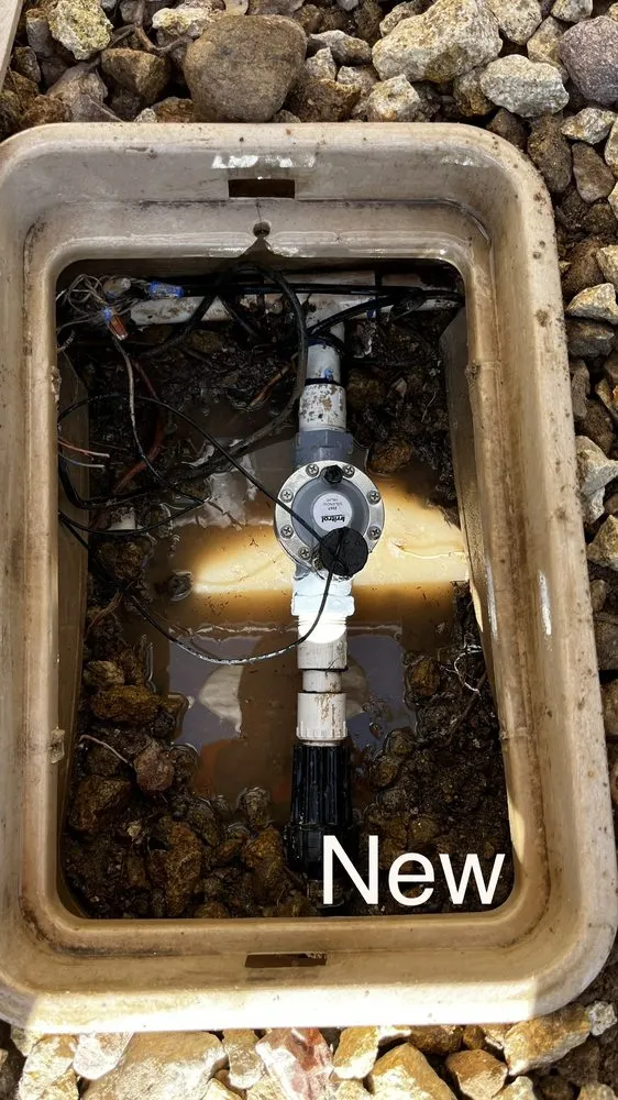 Local lawn mowing service near you in Las Vegas, NV by Mesmerizing Garden Service