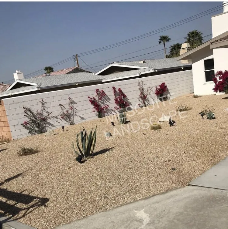 Trusted landscaping services in La Quinta, CA by Mesquite Landscape
