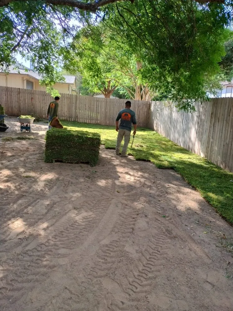 Top-rated yard cleanup service in Pflugerville, TX by Mesquite Landscape Services