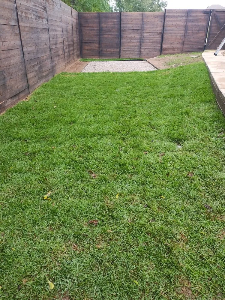 Expert yard cleanup service in Pflugerville, TX by Mesquite Landscape Services