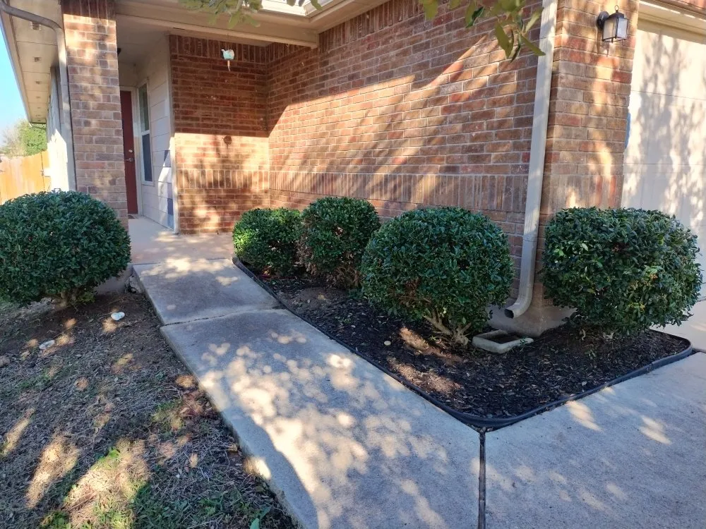 Trusted lawn care service in Pflugerville, TX - Mesquite Landscape Services