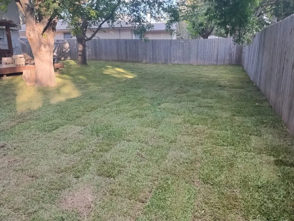 Affordable garden landscaping in Pflugerville, TX by Mesquite Landscape Services