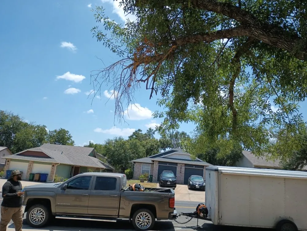 Reliable lawn care service experts serving Pflugerville, TX - Mesquite Landscape Services