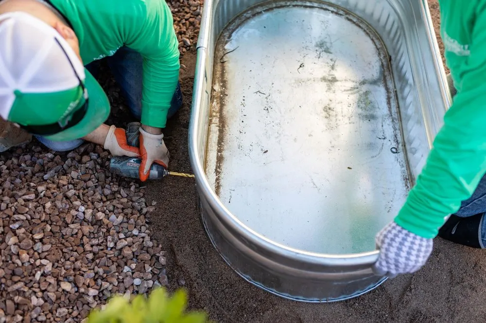 Custom lawn care service in Queen Creek, AZ - Mesquite Landscaping