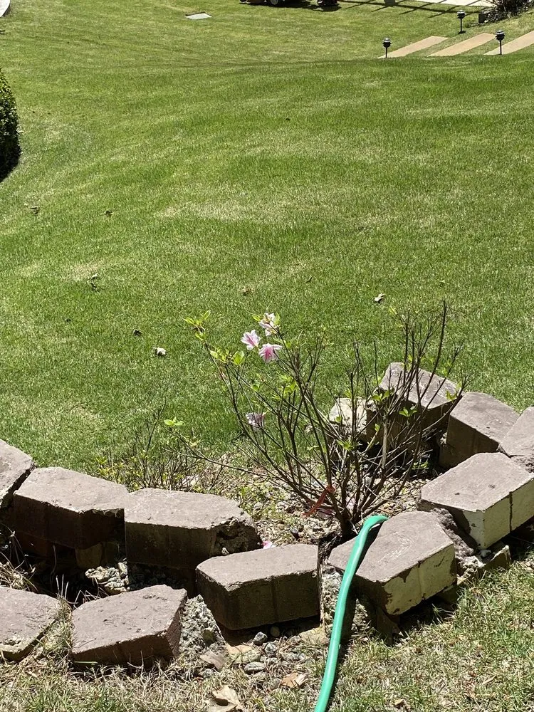 Custom landscape installation in Lilburn, GA by Mesquite Lawncare