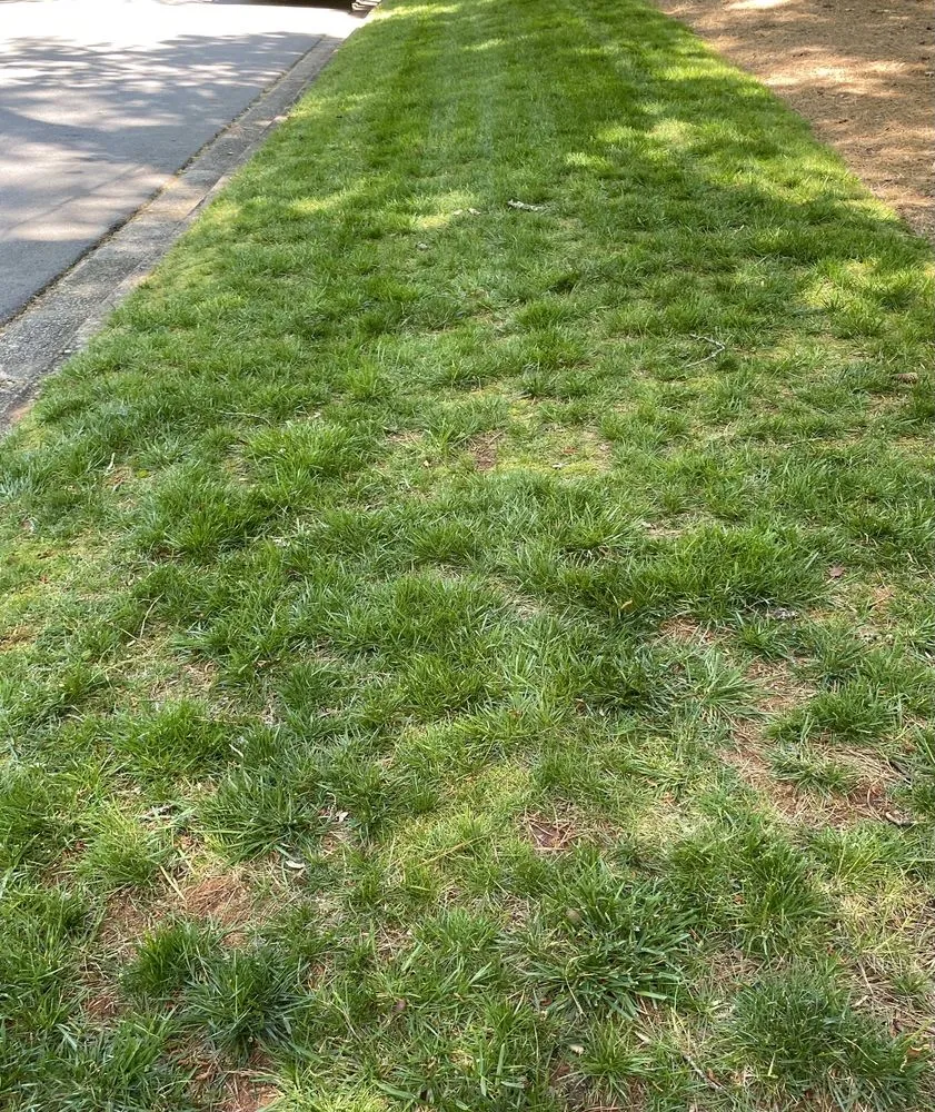 Expert outdoor landscaping for homes in Lilburn, GA by Mesquite Lawncare