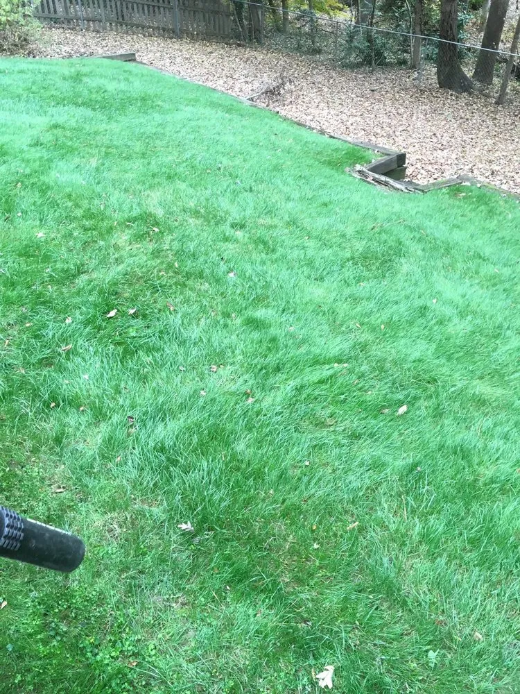 Professional yard maintenance for homes across Lilburn, GA - Mesquite Lawncare