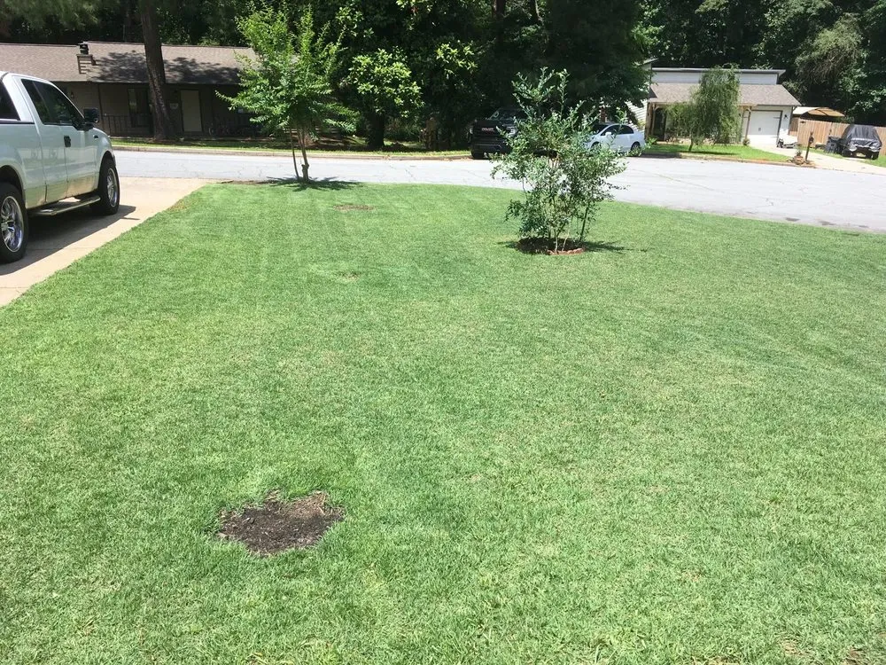 Reliable landscape installation for outdoor upgrades in Lilburn, GA by Mesquite Lawncare