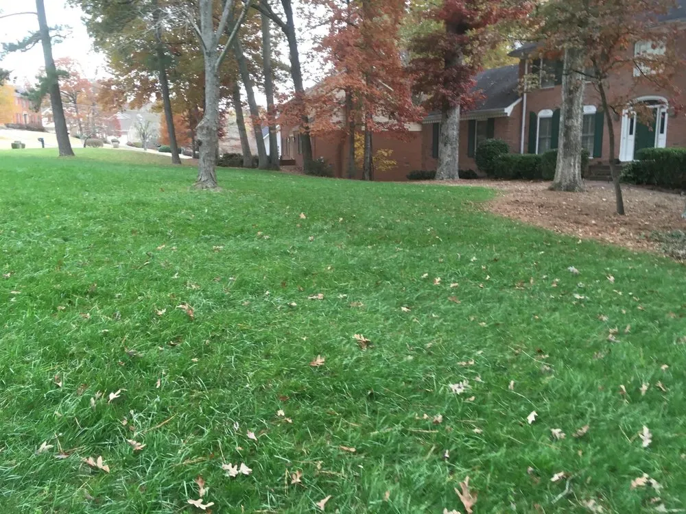 Trusted yard cleanup service in Lilburn, GA by Mesquite Lawncare