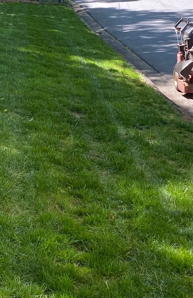 Top-rated yard maintenance for homes in Lilburn, GA by Mesquite Lawncare