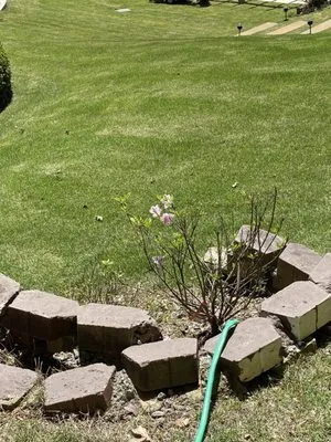 Mesquite Lawncare Logo